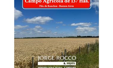 Campo en venta en Ranchos. 137 Has. AGRICOLAS
