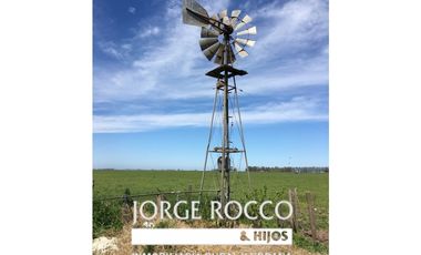 Campo en venta en Ranchos. 137 Has. AGRICOLAS