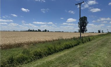 Campo en venta en Ranchos. 137 Has. AGRICOLAS
