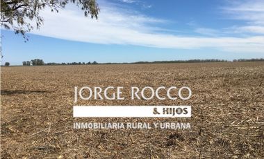 Campo en venta en Ranchos. 137 Has. AGRICOLAS