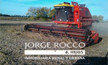 Campo en venta en Ranchos. 137 Has. AGRICOLAS