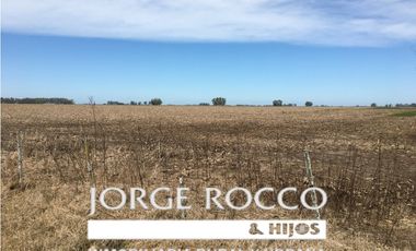 Campo en venta en Ranchos. 137 Has. AGRICOLAS
