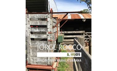 Campo en venta en Ranchos. 137 Has. AGRICOLAS