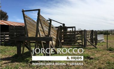 Campo en venta en Ranchos. 137 Has. AGRICOLAS