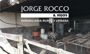 Campo en venta en Ranchos. 137 Has. AGRICOLAS
