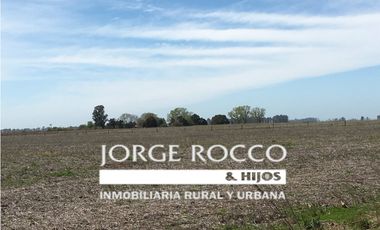 Campo en venta en Ranchos. 137 Has. AGRICOLAS