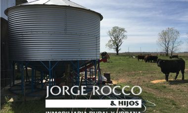 Campo en venta en Ranchos. 137 Has. AGRICOLAS