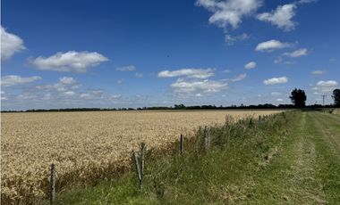 Campo en venta en Ranchos. 137 Has. AGRICOLAS