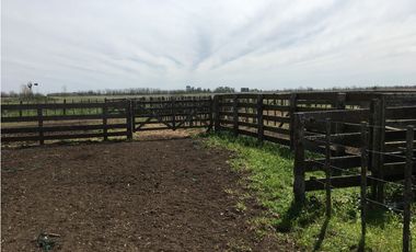 Campo en venta en Ranchos. 137 Has. AGRICOLAS