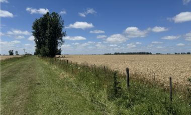 Campo en venta en Ranchos. 137 Has. AGRICOLAS