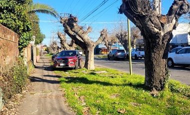 Sitio en Venta en YUNGAY 50,CURICO