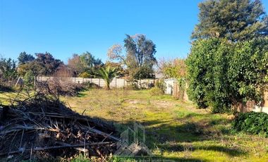 Sitio en Venta en YUNGAY 50,CURICO