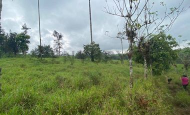 En Venta Finca San Miguel De Los Bancos