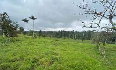 En Venta Finca San Miguel De Los Bancos