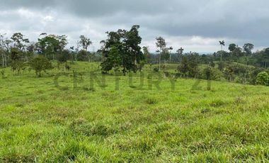 En Venta Finca San Miguel De Los Bancos