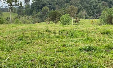 En Venta Finca San Miguel De Los Bancos