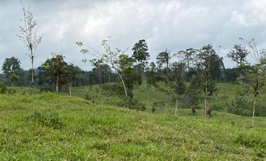En Venta Finca San Miguel De Los Bancos