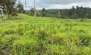 En Venta Finca San Miguel De Los Bancos