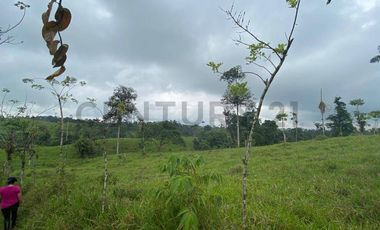 En Venta Finca San Miguel De Los Bancos