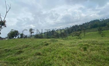 En Venta Finca San Miguel De Los Bancos