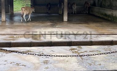 En Venta Finca San Miguel De Los Bancos