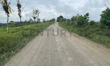 En Venta Finca San Miguel De Los Bancos