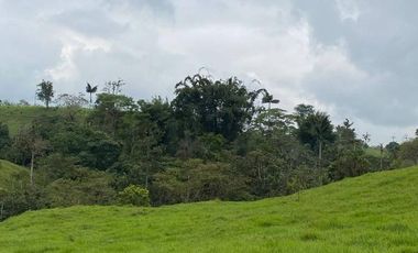 En Venta Finca San Miguel De Los Bancos