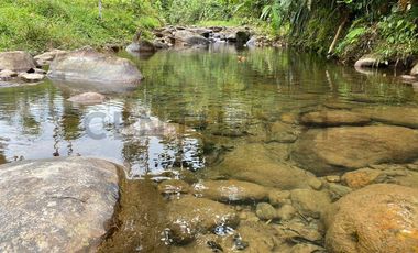 En Venta Finca San Miguel De Los Bancos