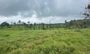 En Venta Finca San Miguel De Los Bancos