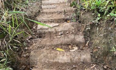 En Venta Finca San Miguel De Los Bancos