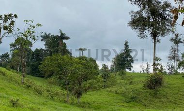En Venta Finca San Miguel De Los Bancos