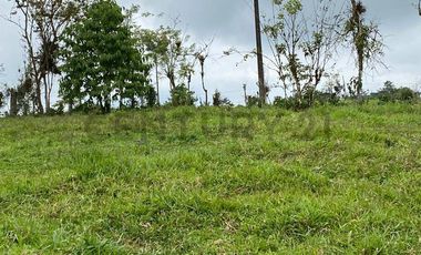 En Venta Finca San Miguel De Los Bancos