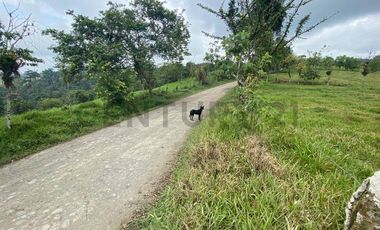 En Venta Finca San Miguel De Los Bancos