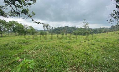 En Venta Finca San Miguel De Los Bancos