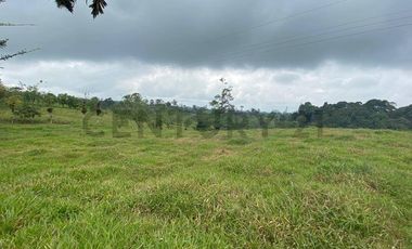 En Venta Finca San Miguel De Los Bancos