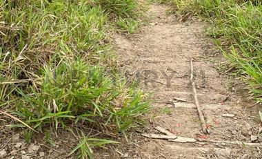 En Venta Finca San Miguel De Los Bancos
