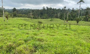 En Venta Finca San Miguel De Los Bancos