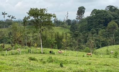 En Venta Finca San Miguel De Los Bancos