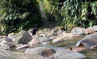En Venta Finca San Miguel De Los Bancos