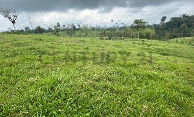 En Venta Finca San Miguel De Los Bancos