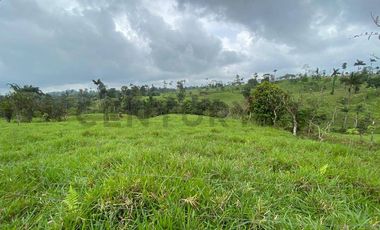 En Venta Finca San Miguel De Los Bancos