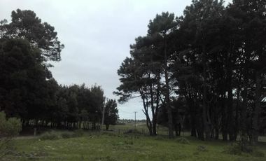Terreno - Bosque Peralta Ramos