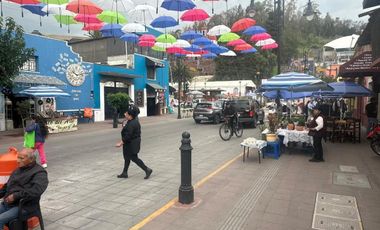 PROPIEDAD EN VENTA. AV. ESTADO DE MEXICO METEPEC CENTRO....