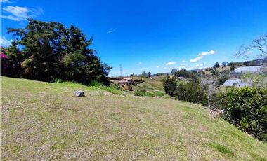 Finca En San Vicente Ferrer