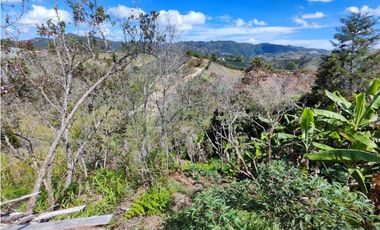 Finca En San Vicente Ferrer