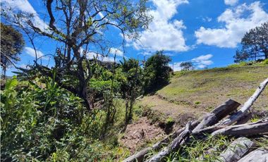 Finca En San Vicente Ferrer