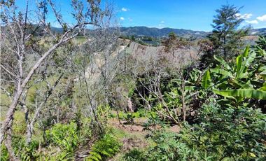 Finca En San Vicente Ferrer