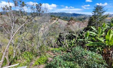 Finca En San Vicente Ferrer