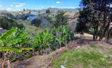 Finca En San Vicente Ferrer