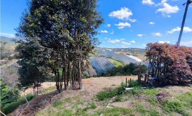 Finca En San Vicente Ferrer